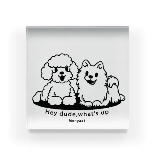 Toypoo ＆Pome A Acrylic Block