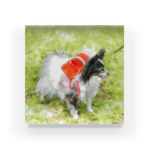 ciel.1021 Acrylic Block