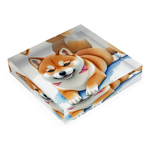 シバの眼差し Acrylic Block