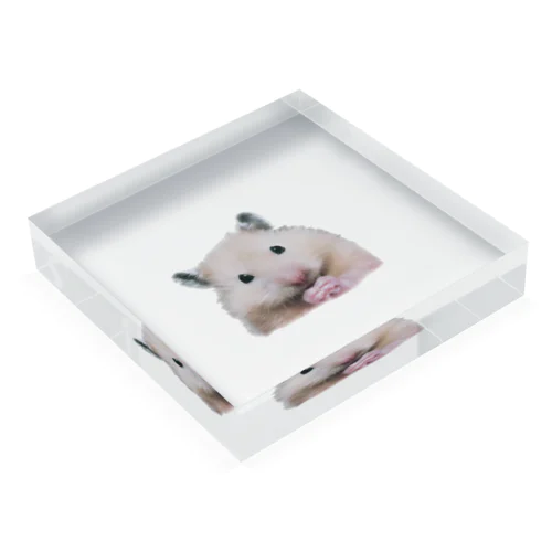 ハムスターからのお願い Acrylic Block