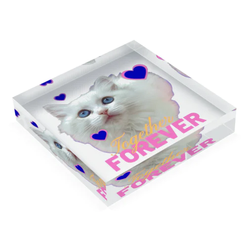 TOGETHER DRUNKER Acrylic Block