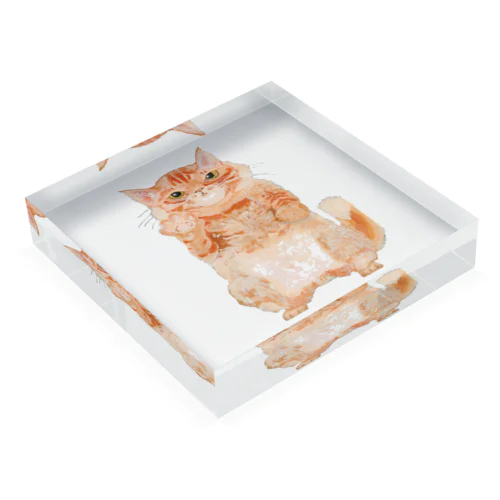 遊んでほしいニャン！ Acrylic Block