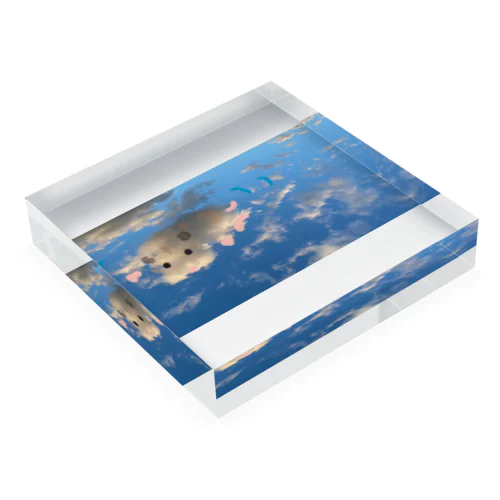 空飛ぶハムスター Acrylic Block