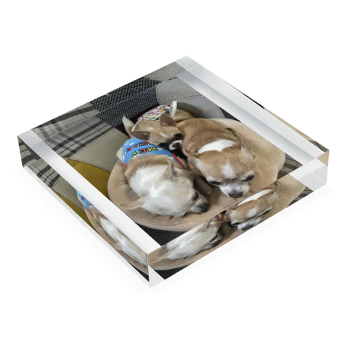 ヴィヴィ&モカ Acrylic Block