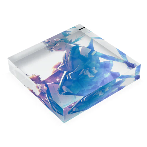 仮 Acrylic Block