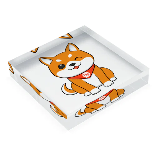 柴犬ウィンク Acrylic Block