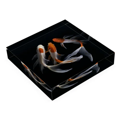 鯉 CARP No.1 Acrylic Block