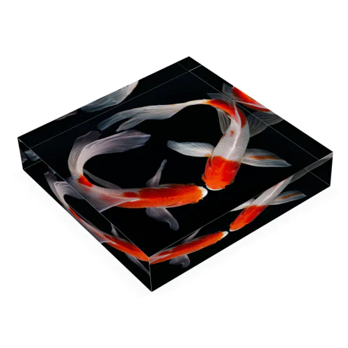 鯉 CARP No.2 Acrylic Block