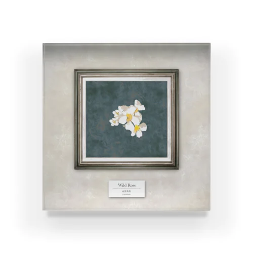 Wild Rose Acrylic Block