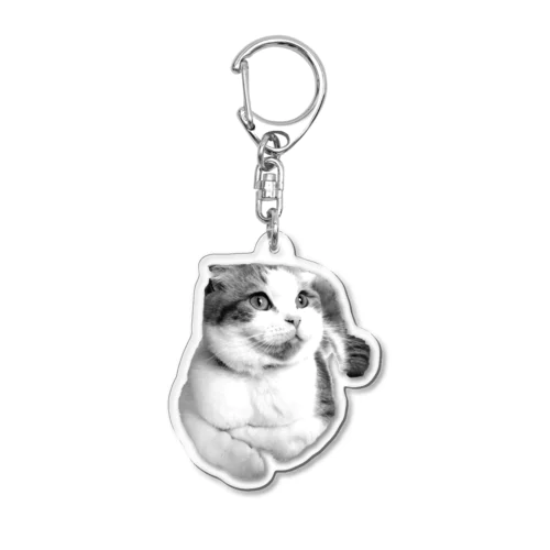 CAT-M Acrylic Key Chain