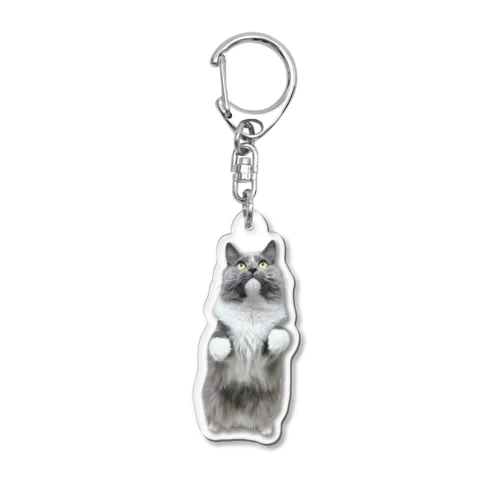 くつしたねこのたび Acrylic Key Chain