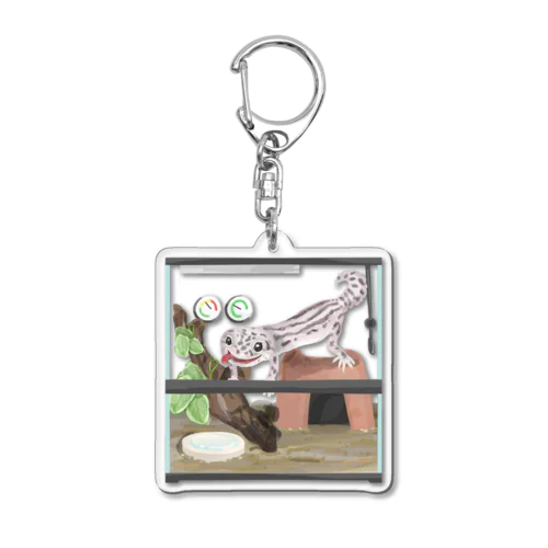 爬虫類ケージ3030 スーパーマックスノー Acrylic Key Chain