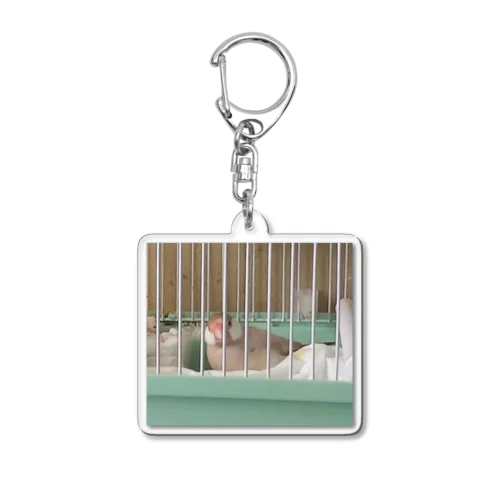 もも「なに撮ってんのよぉ」 Acrylic Key Chain