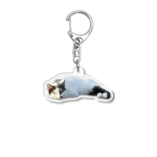 キーホルダー・つちのこ Acrylic Key Chain