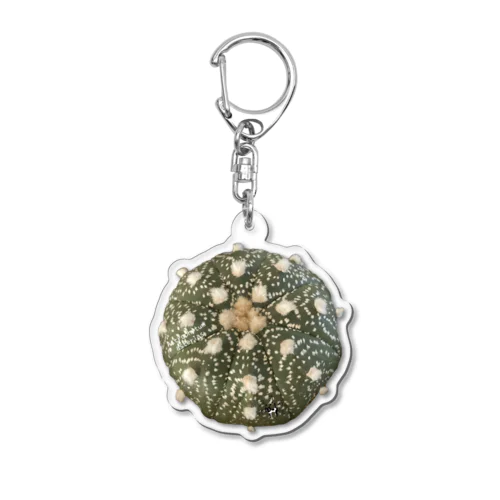 サボテンさん兜丸 Acrylic Key Chain