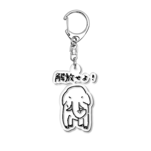 TYKE-1 ごんぎさんプロデュース (日本語ロゴ) Acrylic Key Chain