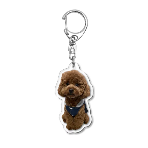 おしゃれをしてみたトイプードル Acrylic Key Chain