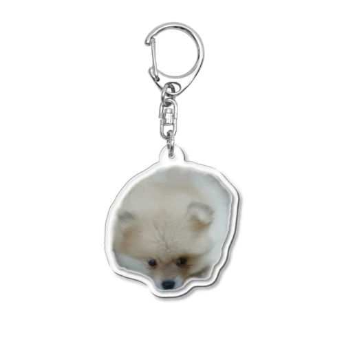 仔ポメのぽぷ Acrylic Key Chain