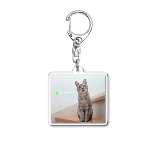 ねこ」アクリルキーホルダーの通販 ∞ SUZURI（スズリ）