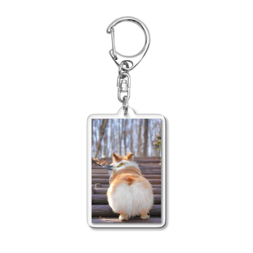 コーギー犬もこすけグッズ Acrylic Key Chain