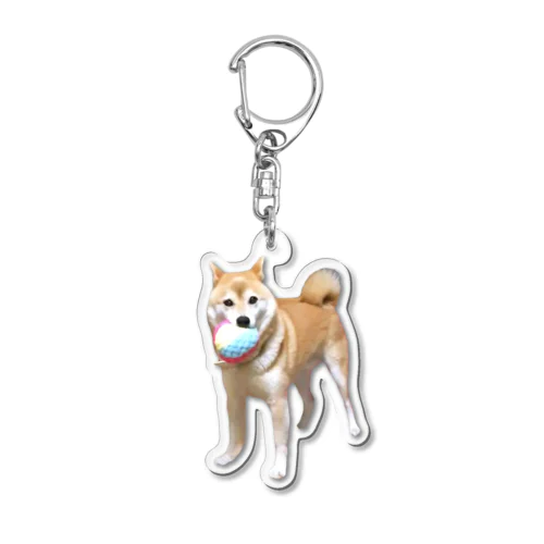 ボールキャッチできておどろく犬 Acrylic Key Chain