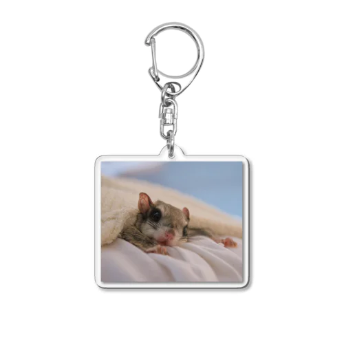 アメリカモモンガのカノン Acrylic Key Chain