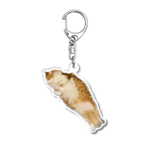 とど Acrylic Key Chain