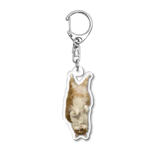 とど2 Acrylic Key Chain