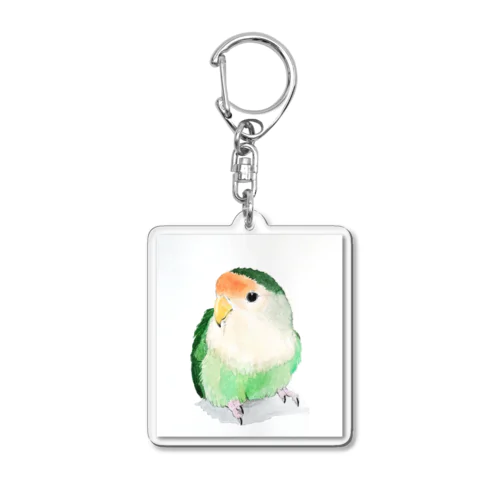 たたずむコザクラインコ Acrylic Key Chain