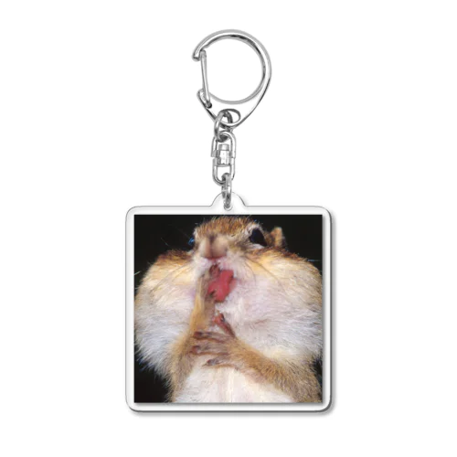 【エゾシマリス】ほっぺたと真っ赤な舌 Acrylic Key Chain