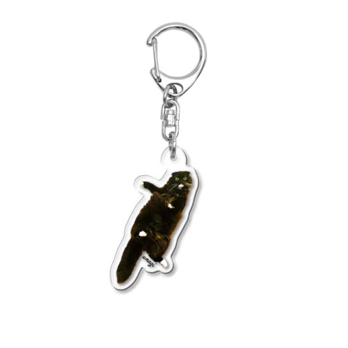 うなぎアクリルキーホルダー（あおむけ） Acrylic Key Chain