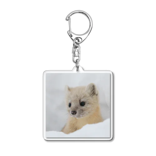 【心とカラダの栄養】サロベツのエゾクロテン Acrylic Key Chain