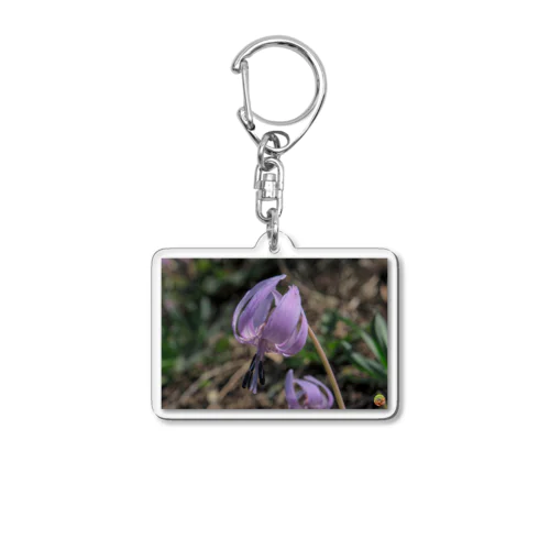 カタクリのお花 Acrylic Key Chain