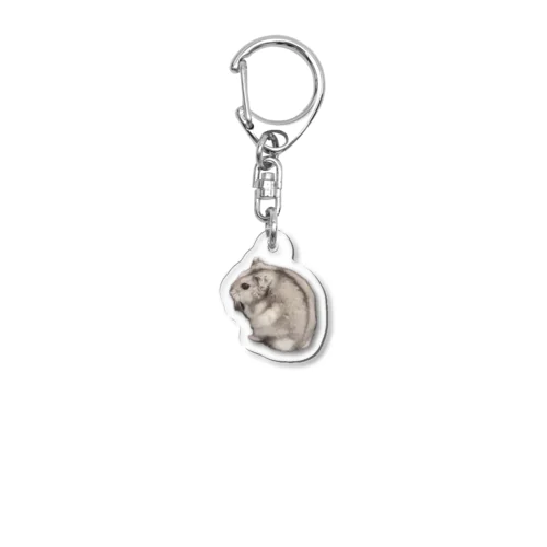たーさん Acrylic Key Chain