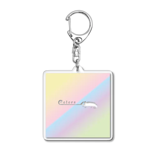 カラメレオン 2024  株式会社カラーズ 新潟 塗装 Acrylic Key Chain