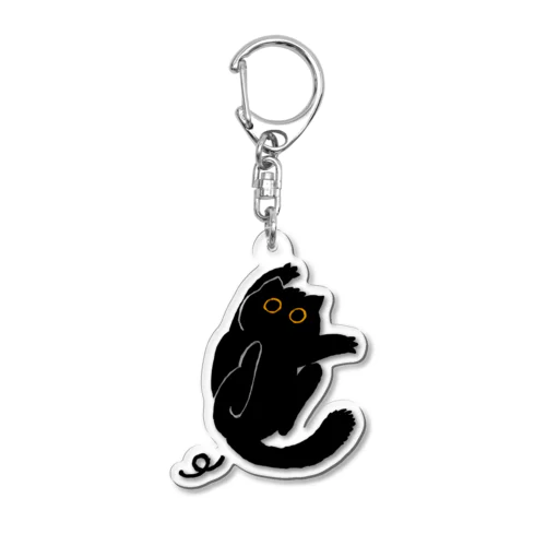 Super Surprise Cat Acrylic Key Chain