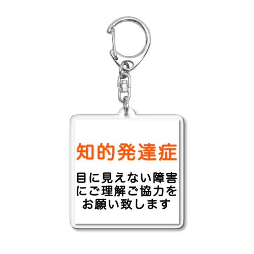 知的発達症　知的障害 Acrylic Key Chain