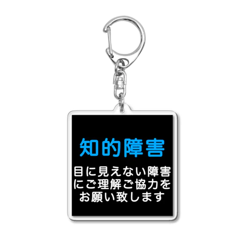 知的障害　目に見えない障害 Acrylic Key Chain