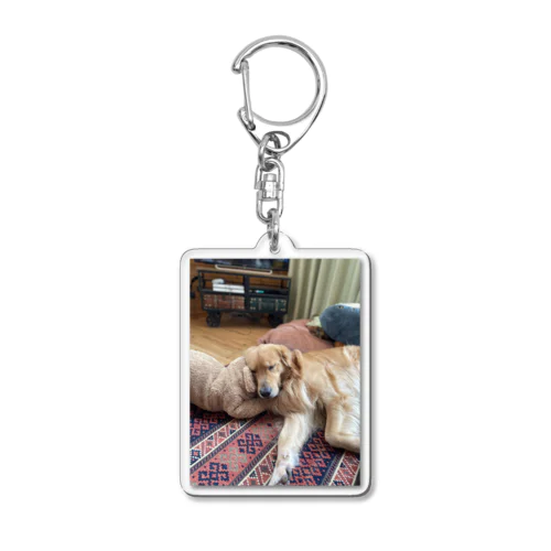 お眠なチョビさん Acrylic Key Chain