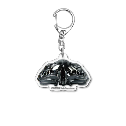 可変ツルッパ・アクリルスタンド Acrylic Key Chain