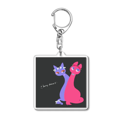 s Acrylic Key Chain