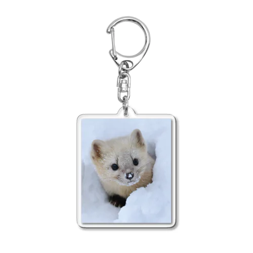 【春の心と体に栄養】サロベツのエゾクロテン Acrylic Key Chain