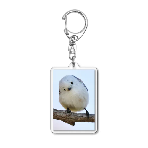 【#動物を味方に】サロベツのシマエナガ Acrylic Key Chain