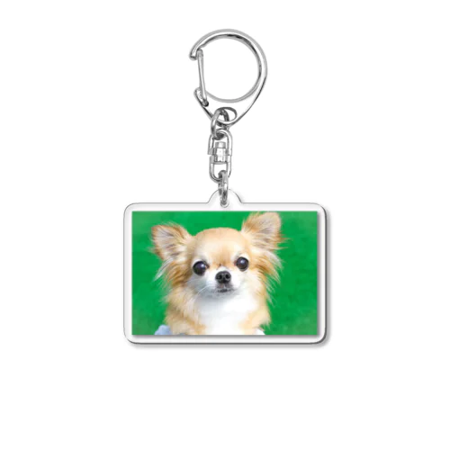 チワワのミレーちゃん Acrylic Key Chain