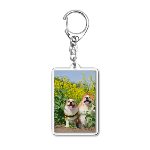 コーギー犬もこすけ＆りくまるグッズ Acrylic Key Chain