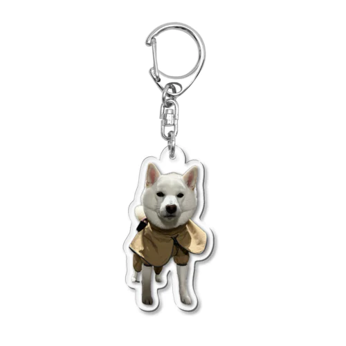 雨なのに散歩いくんすか？マジですか？ Acrylic Key Chain