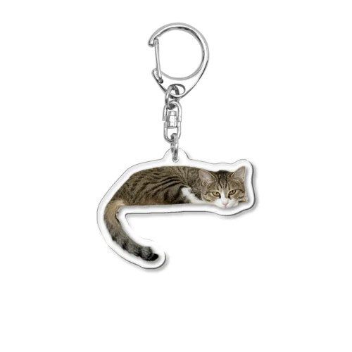 えるちゃん Acrylic Key Chain