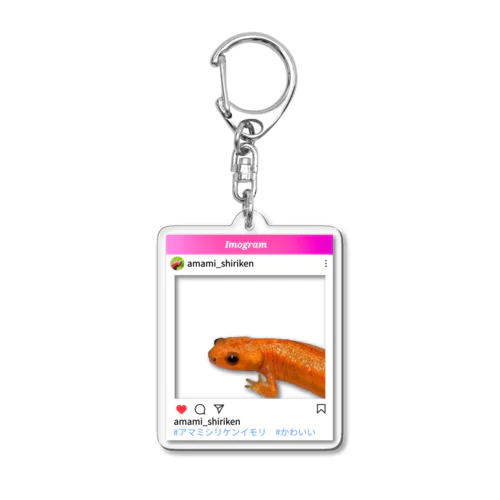 インスタ風Rさん家のアマミシリケンイモリのアクキー① Acrylic Key Chain