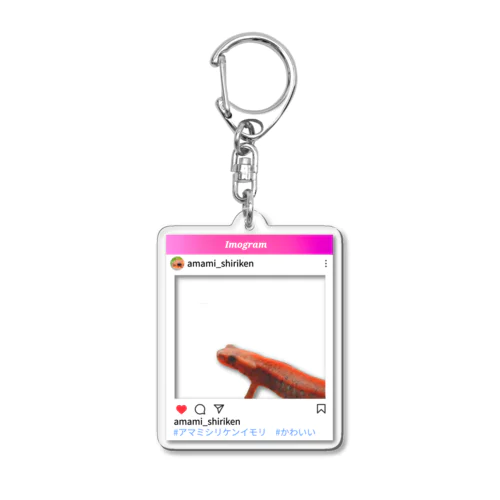 インスタ風Rさんのアマミシリケンイモリのアクキー② Acrylic Key Chain