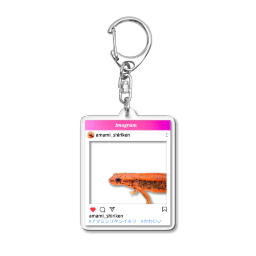 インスタ風Rさん家のアマミシリケンイモリのアクキー④ Acrylic Key Chain